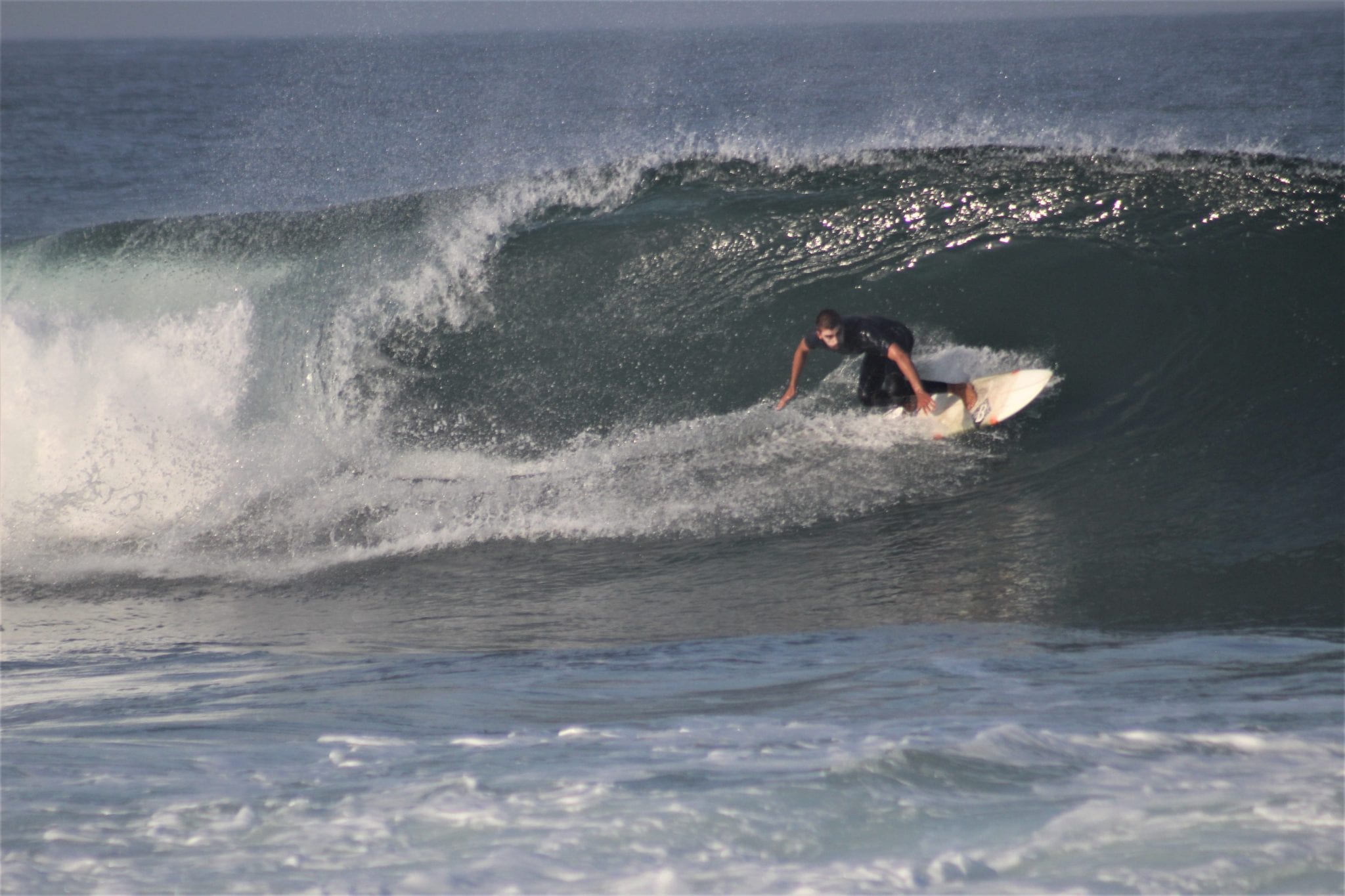 surf